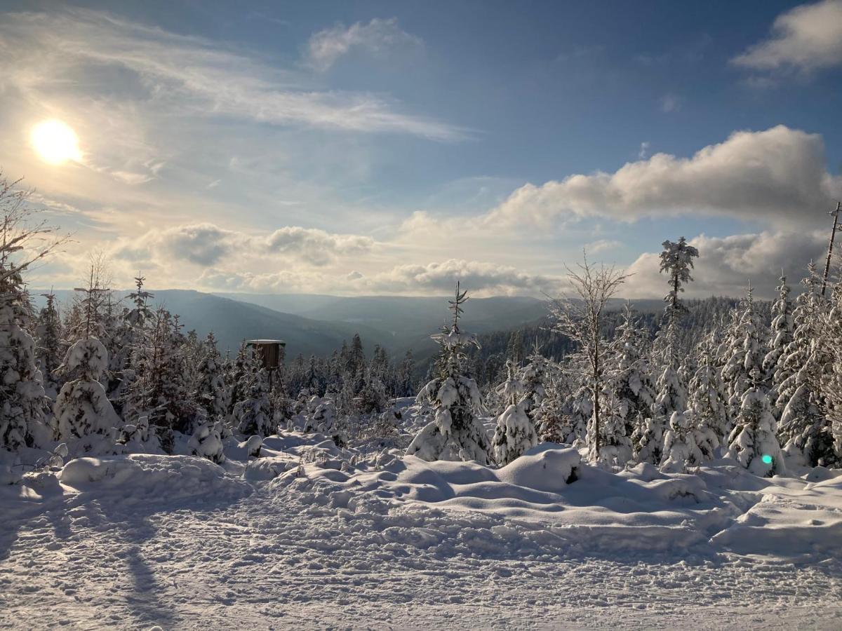 Schwarzwaldhotel Oberwiesenhof Seewald Zewnętrze zdjęcie