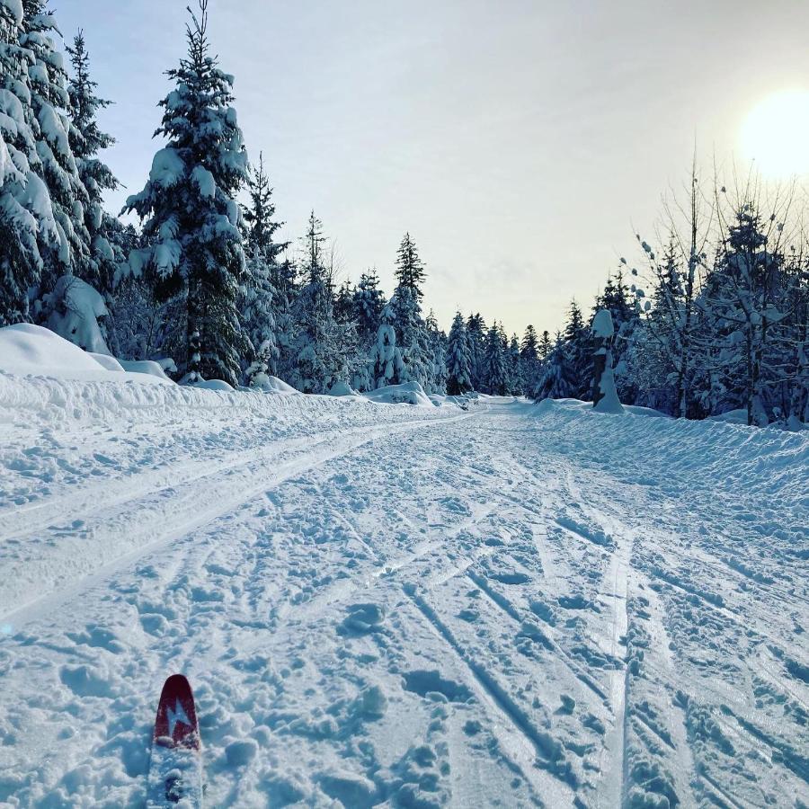 Schwarzwaldhotel Oberwiesenhof Seewald Zewnętrze zdjęcie