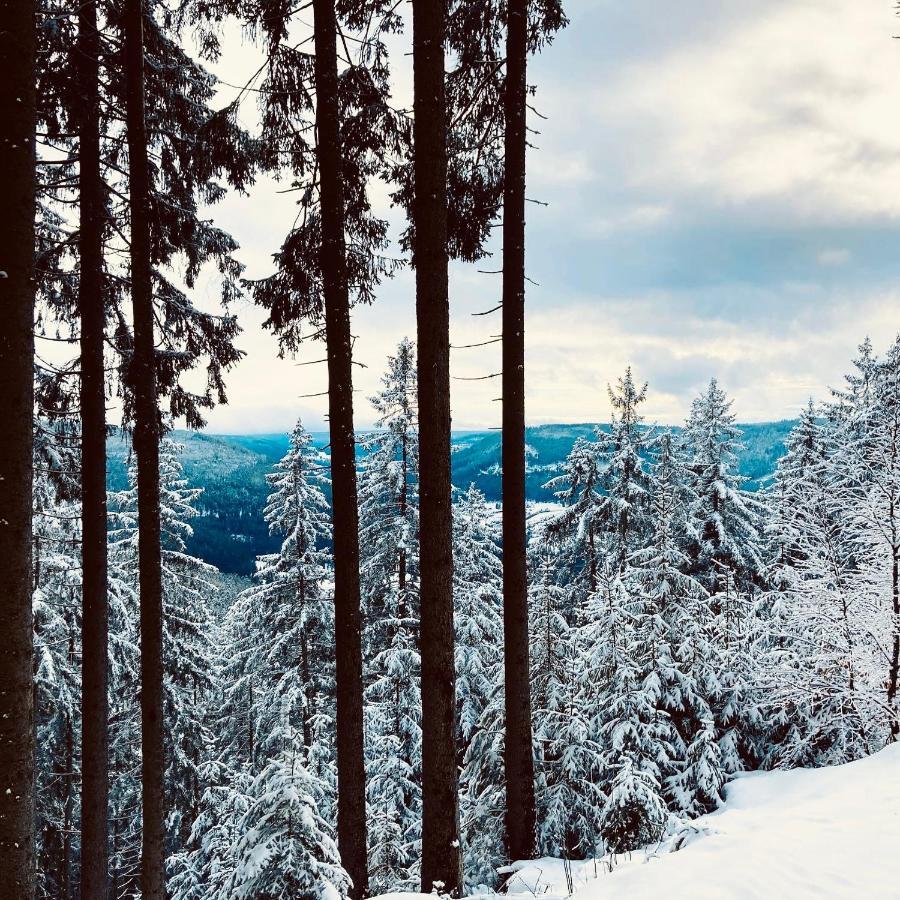 Schwarzwaldhotel Oberwiesenhof Seewald Zewnętrze zdjęcie