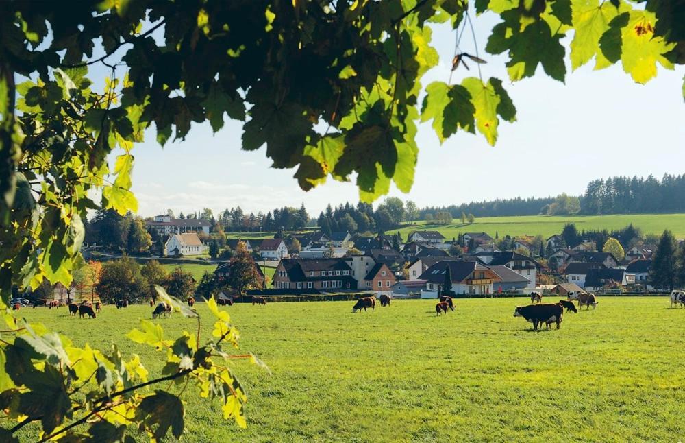 Schwarzwaldhotel Oberwiesenhof Seewald Pokój zdjęcie