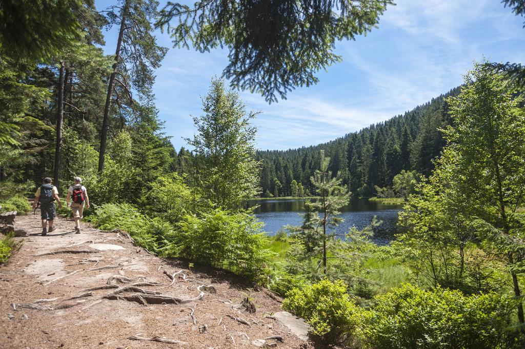 Schwarzwaldhotel Oberwiesenhof Seewald Zewnętrze zdjęcie